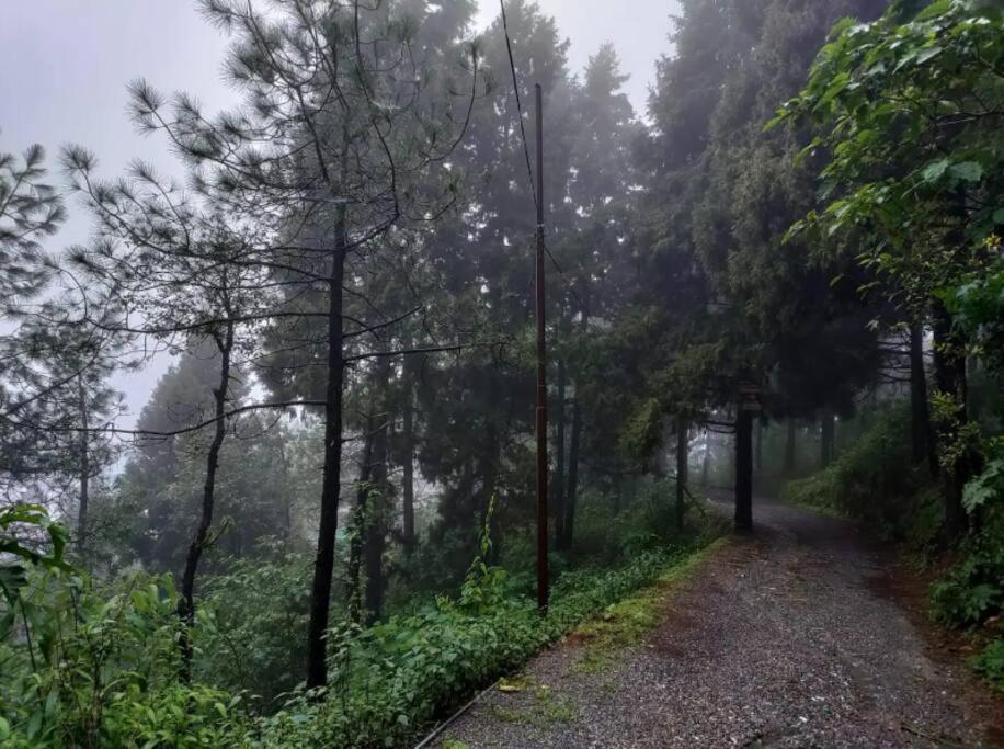 The Hill Story, Entire Chalet, Offbeat,Cozy Masuri Exterior foto