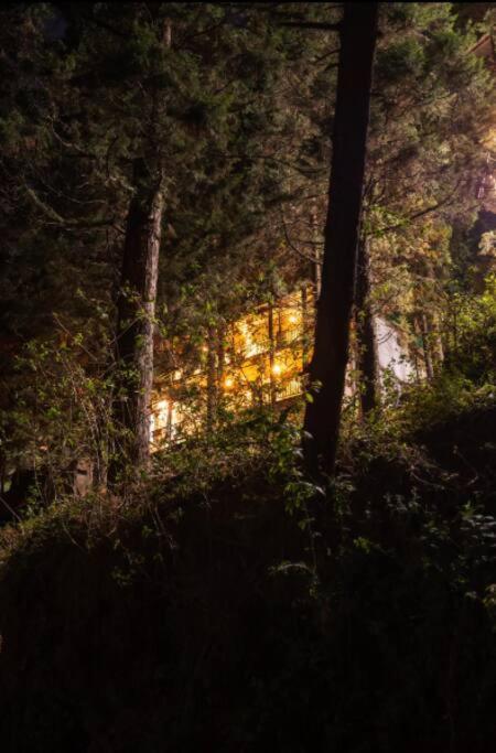 The Hill Story, Entire Chalet, Offbeat,Cozy Masuri Exterior foto